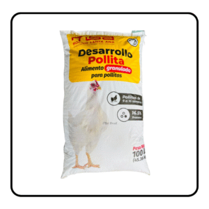 Desarrollo Pollita