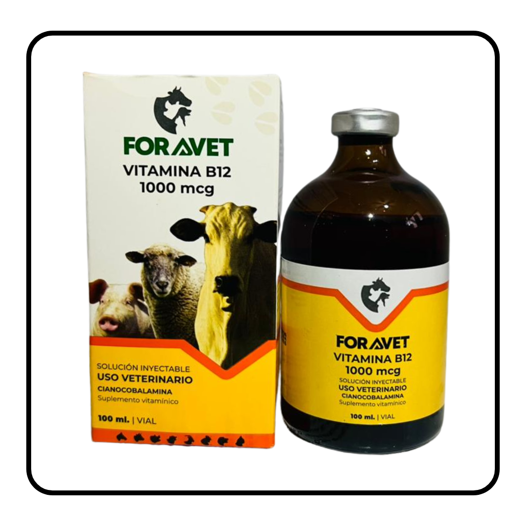 Vitamina B12 1000 mcg
